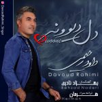 دانلود آهنگ داود رحیمی دل دیوونه